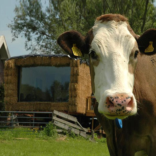 Gastopstal Wyns Bagian luar foto